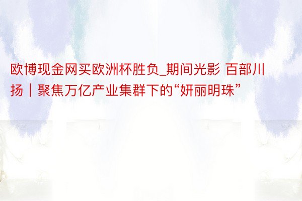 欧博现金网买欧洲杯胜负_期间光影 百部川扬｜聚焦万亿产业集群下的“妍丽明珠”