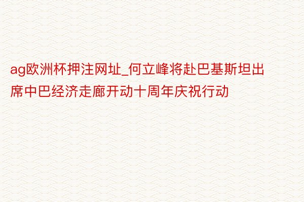 ag欧洲杯押注网址_何立峰将赴巴基斯坦出席中巴经济走廊开动十周年庆祝行动