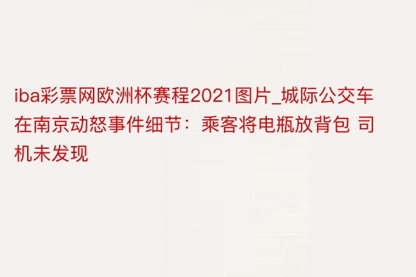 iba彩票网欧洲杯赛程2021图片_城际公交车在南京动怒事件细节：乘客将电瓶放背包 司机未发现