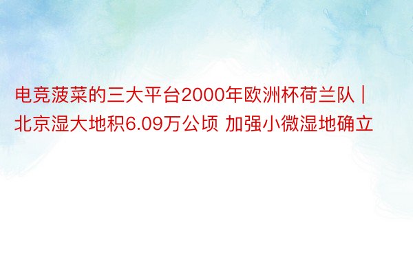 电竞菠菜的三大平台2000年欧洲杯荷兰队 | 北京湿大地积6.09万公顷 加强小微湿地确立