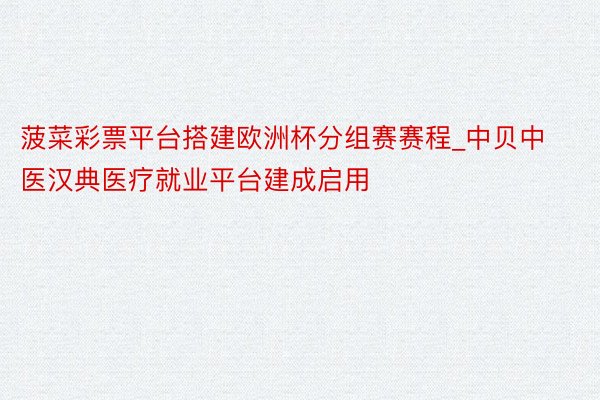 菠菜彩票平台搭建欧洲杯分组赛赛程_中贝中医汉典医疗就业平台建成启用