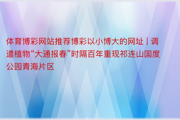 体育博彩网站推荐博彩以小博大的网址 | 调遣植物“大通报春”时隔百年重现祁连山国度公园青海片区